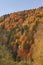 Autumn river in the mountains