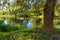 Autumn river with reflections of weeping willows