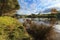 Autumn river scene: trees, rushes, and cloudscape