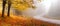 Autumn road. Autumnal landscape with mist over road