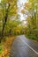 Autumn Road Flanked by Brilliant Foliage in Fruska Gora, Serbia.