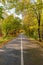 Autumn Road Flanked by Brilliant Foliage in Fruska Gora, Serbia.