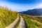 Autumn road between vineyards, Wachau, Austria