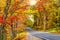 Autumn road winding through fall foliage in New England