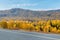 Autumn roads and boreal forest