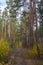 Autumn roads in the Urals in Russia