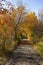 Autumn roads in the Urals in Russia