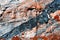 Autumn rock texture karst background
