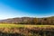 Autumn rolling landscape with smaller hills, meadow, forest and clear sky