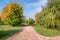 Autumn romantic alley in a park with colorful trees