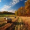 Autumn rural landscape with hay bales on the field and forest