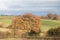 Autumn rural landscape scene, shades of brown and gold in the Shropshire countryside, UK