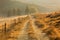 Autumn rural path