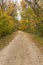 Autumn Rural Road