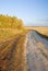 Autumn rural road and field