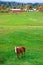 Autumn rural scenery, horse farm, Washington