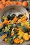 Autumn`s bounty seen in image of bright and colorful gourds spilling from metal bucket