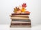 Autumn\'s Chapters: Stack of Worn-Out Books Marked with Vibrant Fall Leaves on a Pure White Canvas