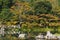 Autumn`s coming, colourful trees season changed in Ginkaku-ji temple, famous travel destination in Kyoto Japan