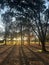 Autumn\'s Glow: A Tranquil Park Scene