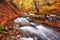 Autumn\\\'s Serenade: A Serene River Journey Through the Enchanting Forest