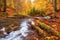Autumn\\\'s Serenade: A Serene River Journey Through the Enchanting Forest