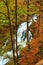 Autumn\\\'s Serenade: A Serene River Journey Through the Enchanting Forest