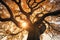 Autumn\\\'s Whispers: Tree of Life Represented by a Mesmerizing Autumn Tree. Generative AI