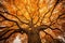 Autumn\\\'s Whispers: Tree of Life Represented by a Mesmerizing Autumn Tree. Generative AI