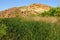 Autumn at Saguaro lake in Arizona Marsh