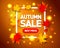 Autumn sale advertisement template. Autumn season background frame with falling autumn leaves. Isolated Vector illustration