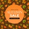 Autumn sale background with falling leaves. Can be used as story post in social network. Vector Illustration
