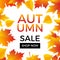 Autumn sale background with maple leaves. Fall sale discount season vector poster illustration