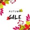 Autumn sale background with vintage colorful leave, vector illus