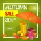 Autumn sale banner. Autumn sale flayer Design for shop. Autumn sale online store. Autumn sale Discount up to 30 off.