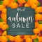 Autumn Sale Banner. Poster, Flyer, Vector. Pumpkins and leafs on