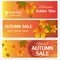 Autumn sale banner season leaf card nature background design vector illustration