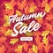 Autumn sale banner for shopping sale. Colorful autumn leaves background.