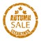 Autumn sale clearance rubber stamp isolated on white