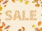 Autumn sale, Different Autumn leaves blowing through the sky, autumn concept backgrounds, autumn sale, discount sale, retail, bann