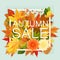 Autumn sale discount banner. Modern style Poster with golden orange foliage leaves.