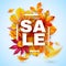 Autumn sale. Seasonal promotion design with red and yellow realistic leaves. Thanksgiving october discount offer. Vector