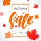 Autumn sale shopping discount vector poster fall maple leaf web banner