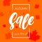 Autumn sale shopping discount vector poster fall maple leaf web banner