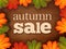 Autumn Sale Sign