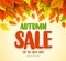 Autumn sale text vector banner design with colorful fall season leaves falling