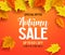 Autumn sale vector banner background with fall leaves elements