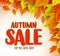 Autumn sale vector banner design with orange and yellow maple leaves