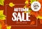 Autumn sale vector banner design with typography and colorful maple tree leaves