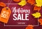 Autumn sale vector banner template with discount text and maple leaves elements